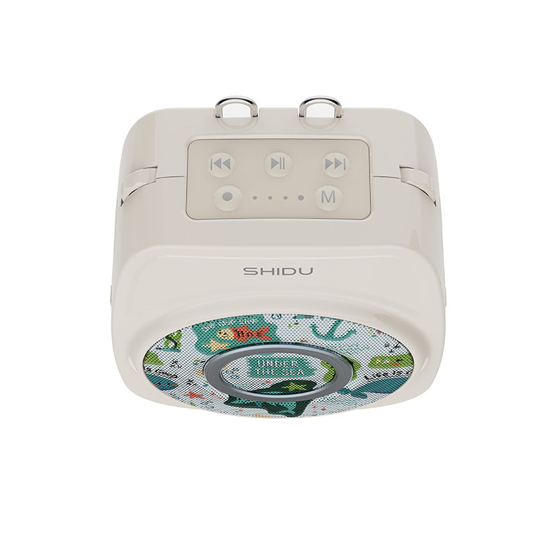 S29 Dual Mic Voice Amplifier