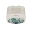 S29 Dual Mic Voice Amplifier